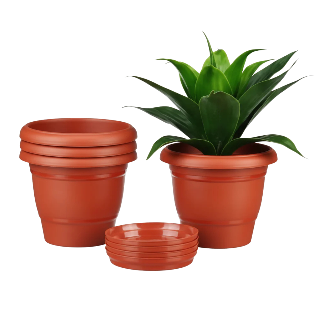 Plant pots - أواني النباتات